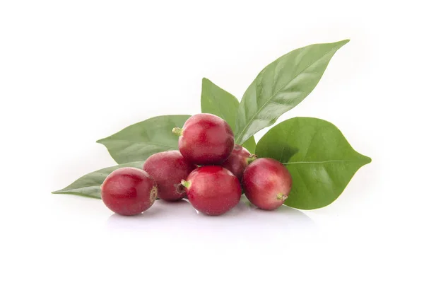 Frische Kaffeebohnen mit Blatt auf weißem Hintergrund — Stockfoto