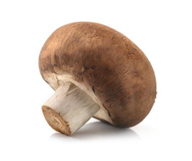 Beyaz arka planda izole edilmiş taze şampiyon mantarları