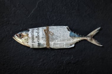 Siyah bir arka plan üzerinde taze, çiğ uskumru. 