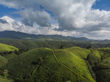 Tayland Dağ'da Mısır sanayi.