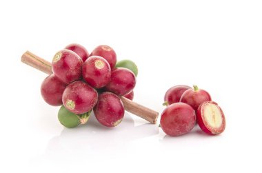 Beyaz arka planda yaprağı olan taze kahve çekirdekleri.