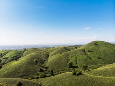 Tayland Dağ'da Mısır sanayi.