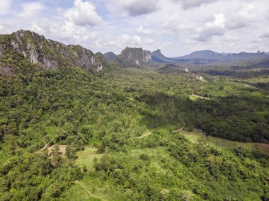 Yeşil orman ve Tayland kırsal yoluyla Yol, Top v