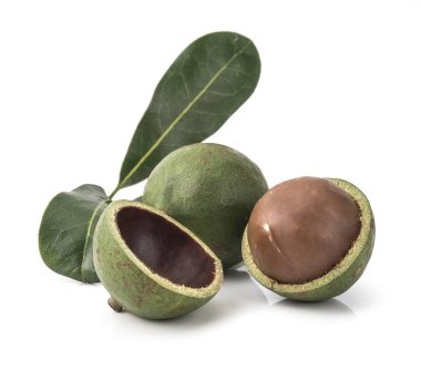 Beyaz arka planda Macadamia fındıkları