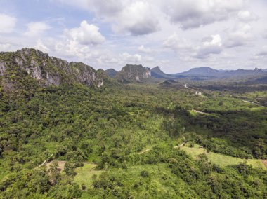 Yeşil orman ve Tayland kırsal yoluyla Yol, Top v