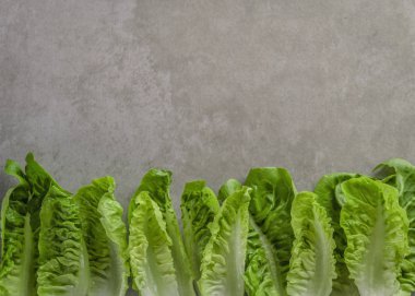 Romaine marul salatası taş tablo üzerinde