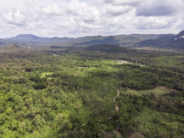 Yeşil orman ve Tayland kırsal yoluyla Yol, Top v