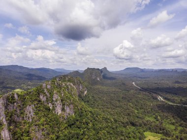 Yeşil orman ve Tayland kırsal yoluyla Yol, Top v