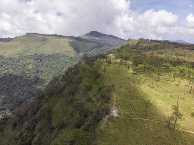 Güneş ışınları ve uzun sha ile ormanda güzel sabah sahnesi