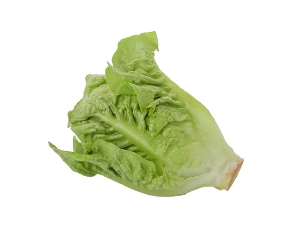 Romain Lettuce isolated on a white — Stock Photo, Image