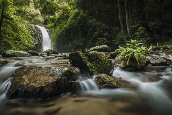 soft water of the stream in the natural park, Beautiful waterfal