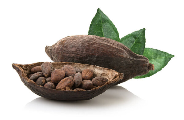 Cocoa pods and cocoa beans and cacao powder with leaves isolated