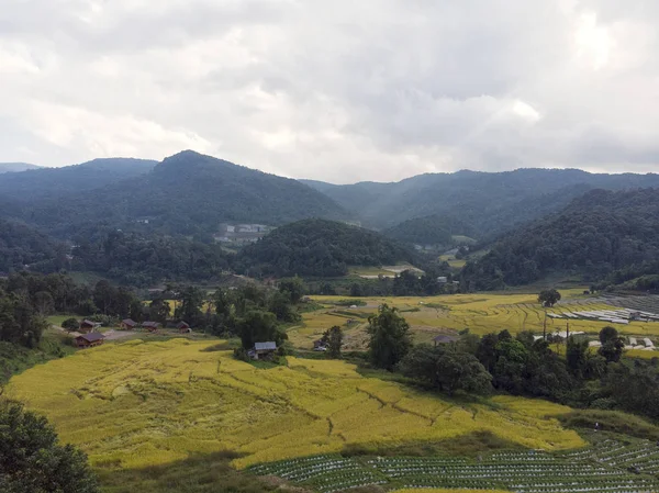 Vista aérea de campos de arroz Alto ángulo de campo de arroz en la zona rural Tha —  Fotos de Stock