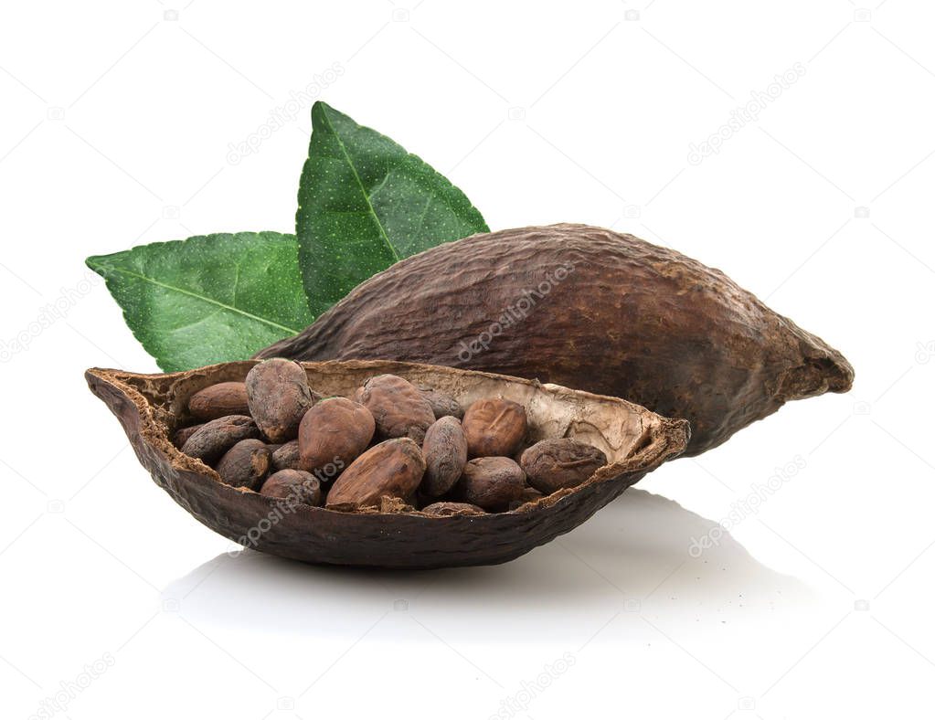 Cocoa pods and cocoa beans and cacao powder with leaves isolated
