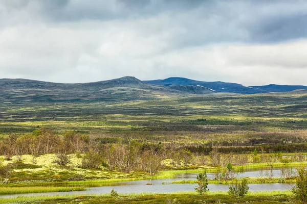 Natuurreservaat Foksfugu Gelegen Het Centrale Deel Van Noorwegen — Stockfoto