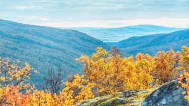 Vadide Innerdalen düşmek 