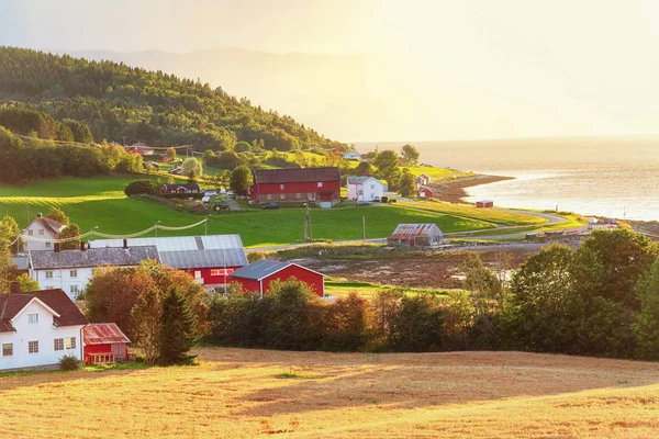 Superficie agrícola Byneset, Noruega — Foto de Stock