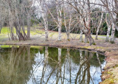 Halka Botanik Bahçesi, Trondheim 