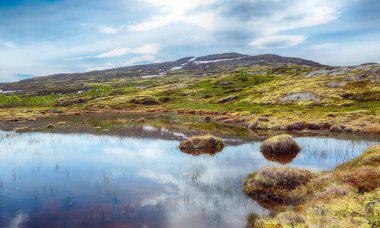 Mountain Naeringa, Valley ınnerdalen, Norveç