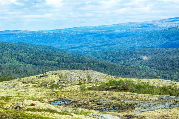 Valley Innerdalen, Norvegia — Foto Stock