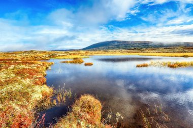 Forollhogna Milli Parkı 