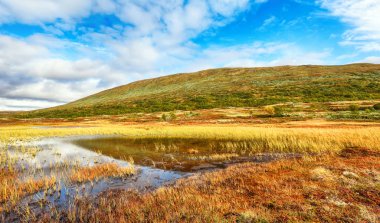 Forollhogna Ulusal Parkı, Norveç 