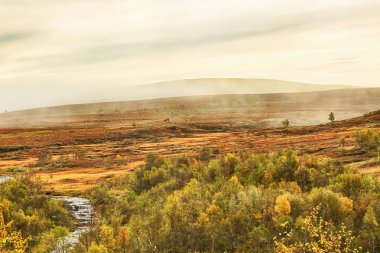 Forollhogna Ulusal Parkı, Norveç