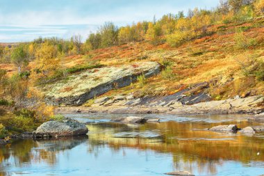 Forollhogna Milli Parkı 'nda Güz 