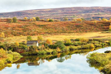 Forollhogna Ulusal Parkı, Norveç 