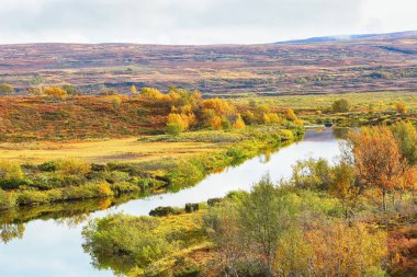 Forollhogna Milli Parkı 'nda Güz 