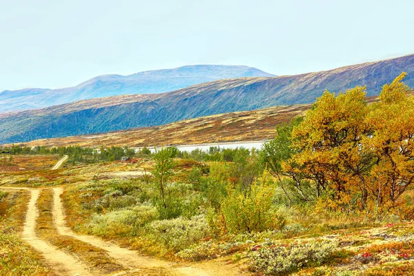 Forollhogna Milli Parkı — Stok fotoğraf