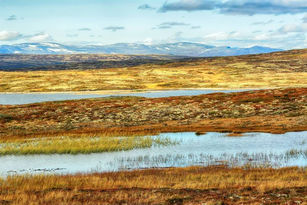 Forollhogna nationalpark, norwegen — Stockfoto