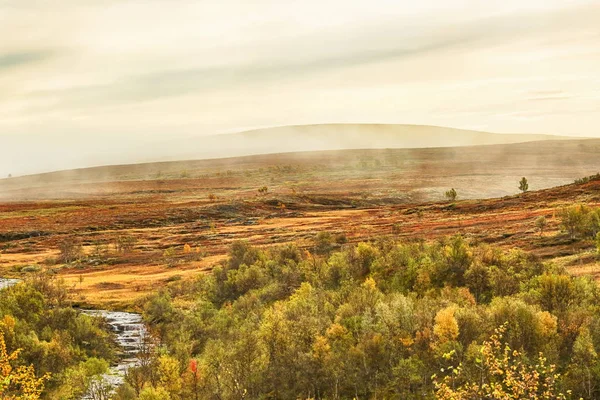 Forollhogna Ulusal Parkı, Norveç