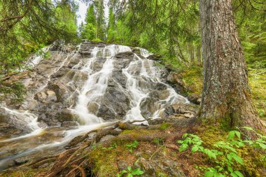 Norveç şehri Trondheim yakınında bulunan Sagelva nehri şelalesi 