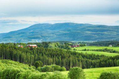 Norveç şehri Trondheim yakınlarında bulunan Vassfjella dağının görünümü 