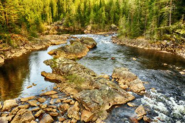 Norveç'in orta kesiminde bulunan iki Orkla nehri ve Inna nehri 