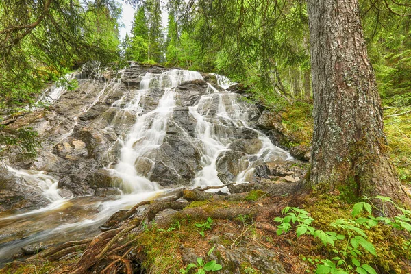 Vattenfall Vid Floden Sagelva Beläget Nära Den Norska Staden Trondheim — Stockfoto