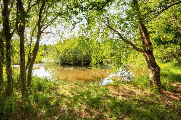 Ringve Botanik bahçesi park ve gölet, Trondheim 