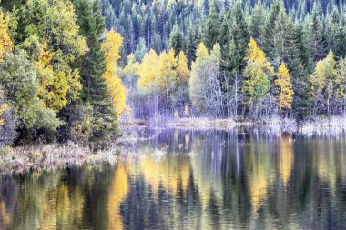 Segovia, İspanya 06/22/2018 : İspanya'nın Segovia kasabasındaki ortaçağ su kemerini tamir eden işçiler ( Unesco Dünya Mirası Listesi)