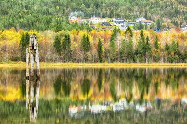 Selbu Gölü, Norveç