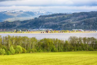 Trondheim fiyordu 
