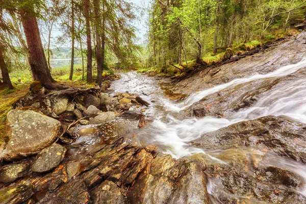 Řeka Sagelva, Norsko — Stock fotografie