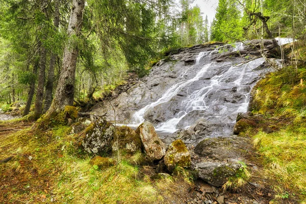 Řeka Sagelva, Norsko — Stock fotografie