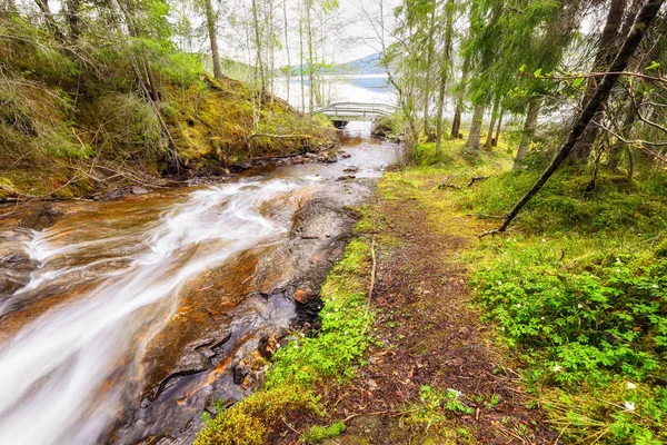 Fiume Sagelva e lago Jonsvatnet — Foto Stock