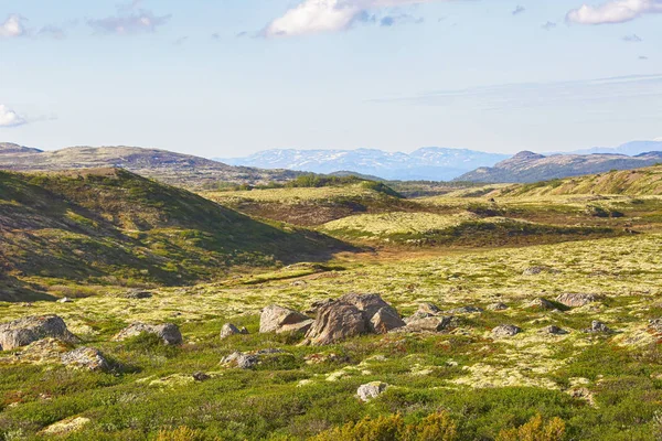 オプダル(ノルウェー)の山々 — ストック写真