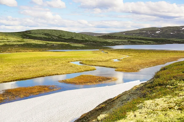 Rivier Orkla, Noorwegen — Stockfoto