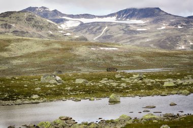 Jotunheimen Ulusal Parkı, Norveç 