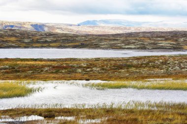 Forollhogna Milli Parkı 