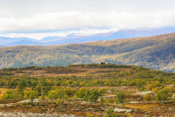 Forollhogna National park, Norway — Stock Photo, Image