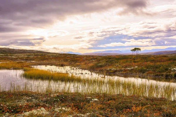 Parque nacional de forollhogna — Fotografia de Stock